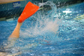 Schnappschuss Schwimmhalle © Pascalina Vretinari