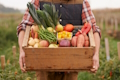 Circular Food Chain